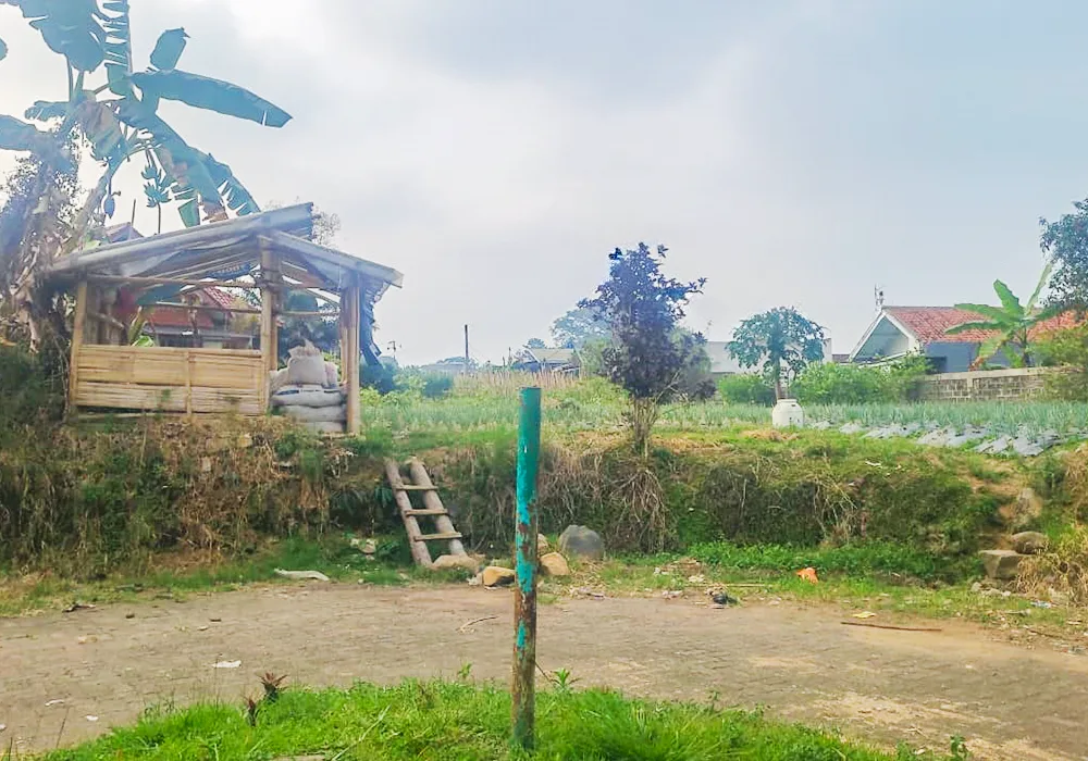 TANAH DI KAB. CIANJUR - NPL221-2 - Jawa Barat