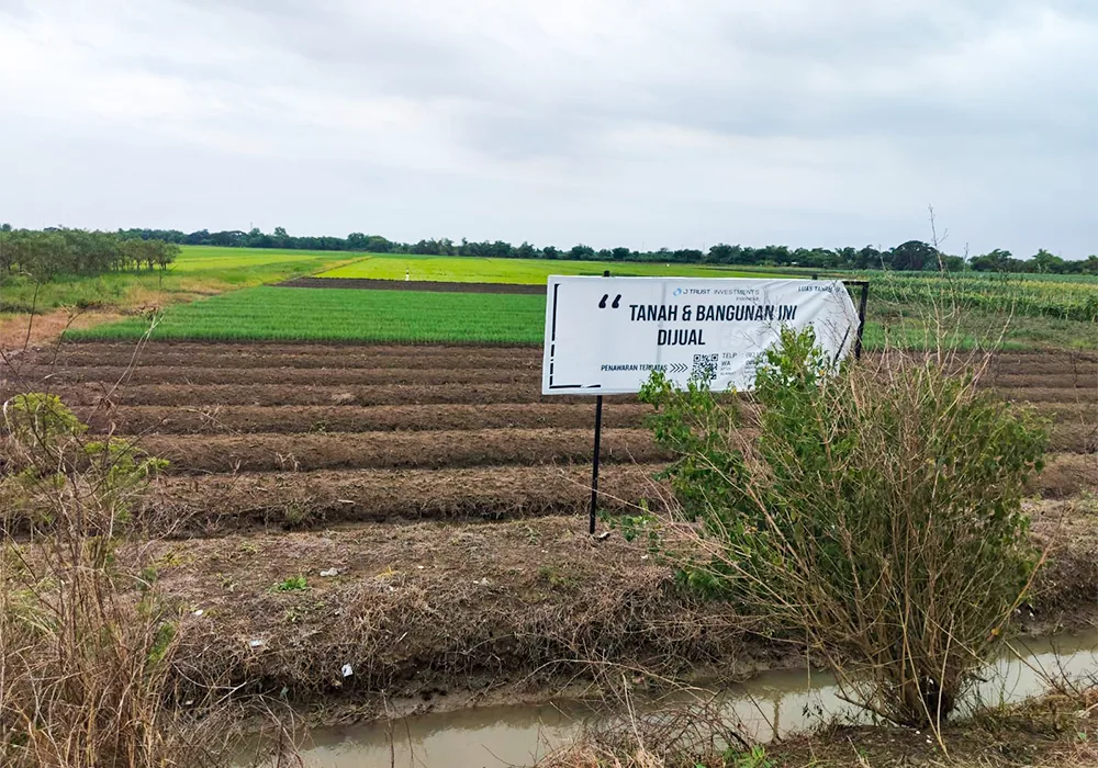 TANAH DI KAB. BREBES - NPL635-2 - Jawa Tengah