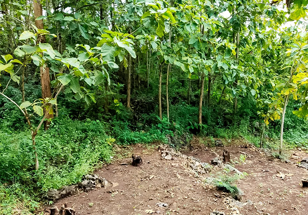 TANAH DI KAB. GUNUNGKIDUL - WOFF295-1 - Di Yogyakarta