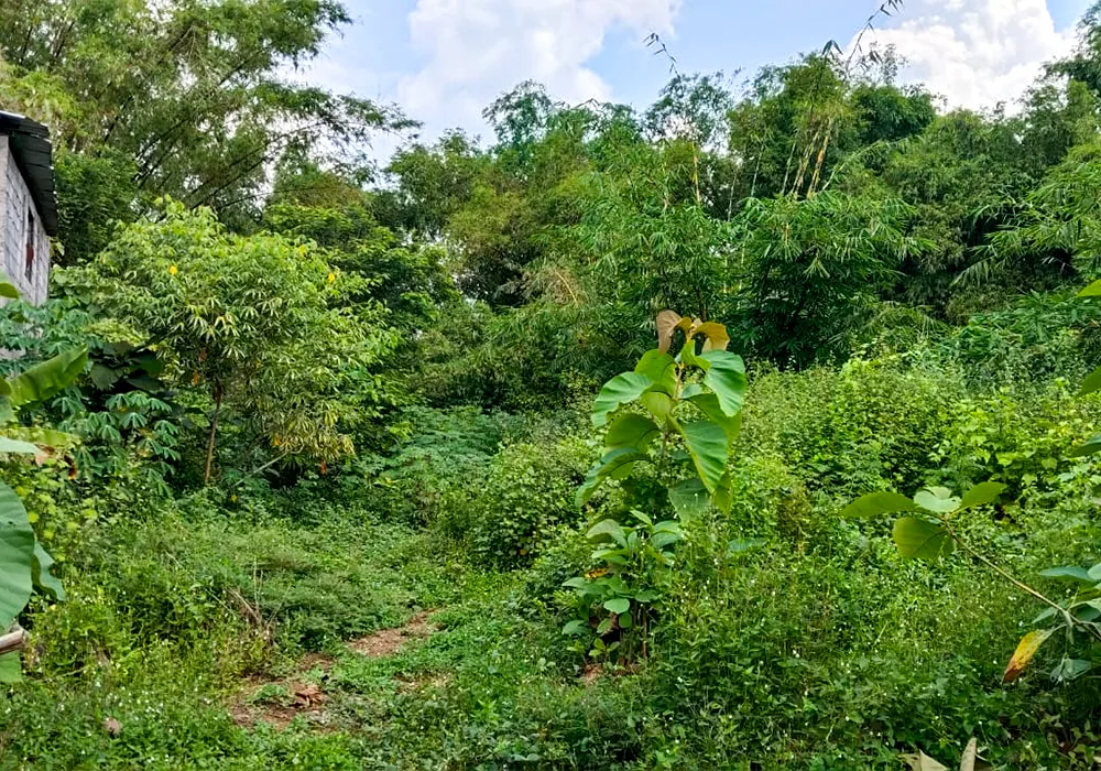 TANAH DI KAB. SUKOHARJO - WOFF346-1 - Jawa Tengah