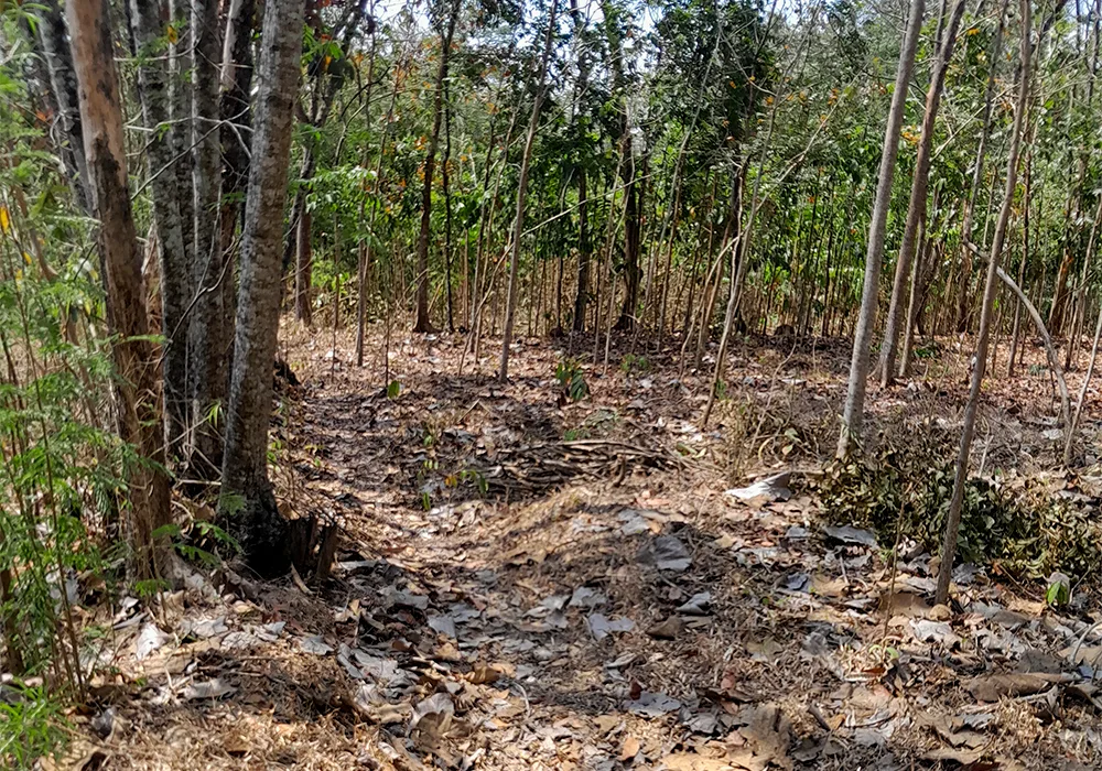 TANAH DI KAB. SUKOHARJO - WOFF351-4 - Jawa Tengah