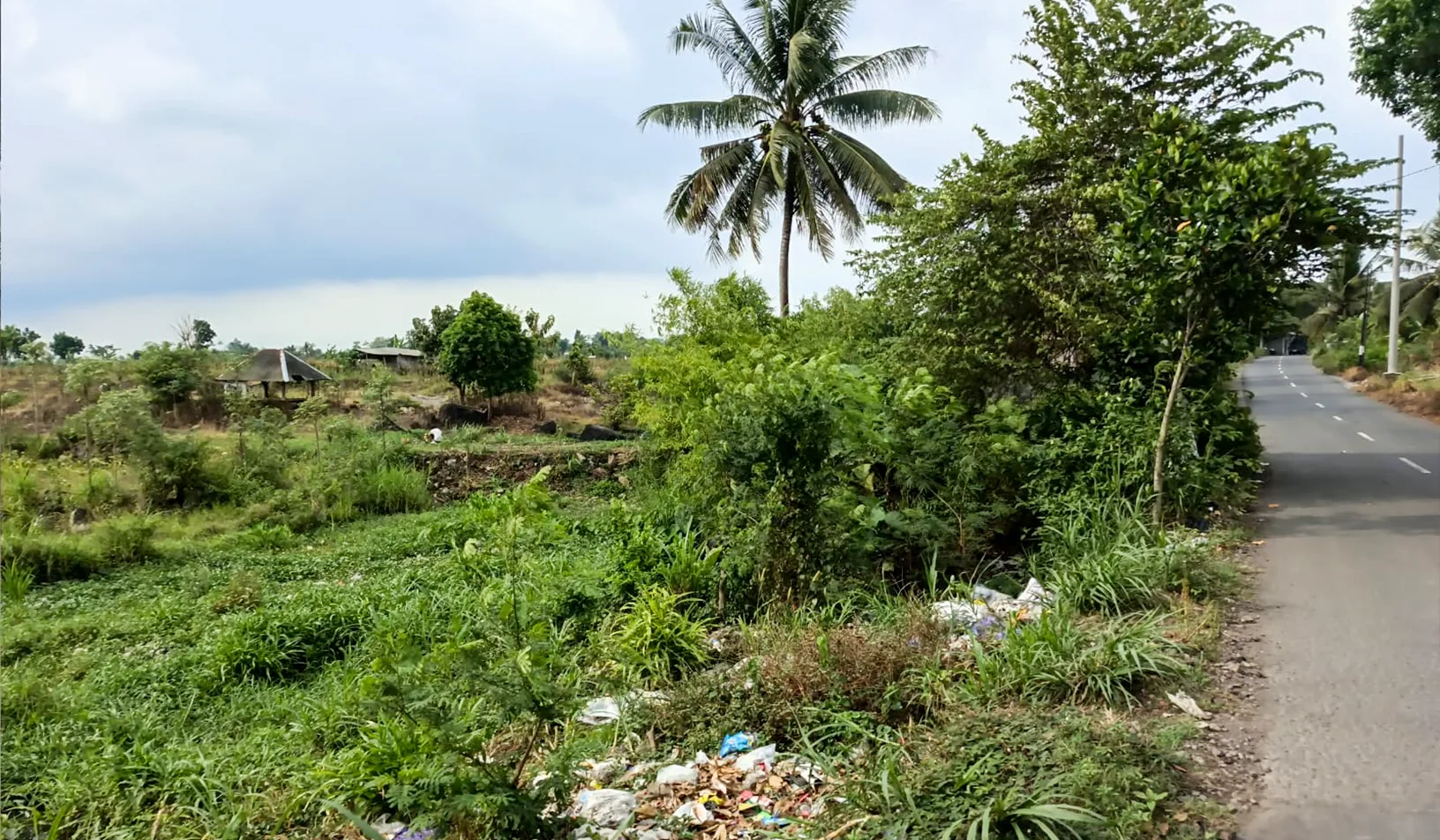 TANAH DI KAB. LOMBOK TENGAH - WOFF4995-1 - NUSA TENGGARA BARAT