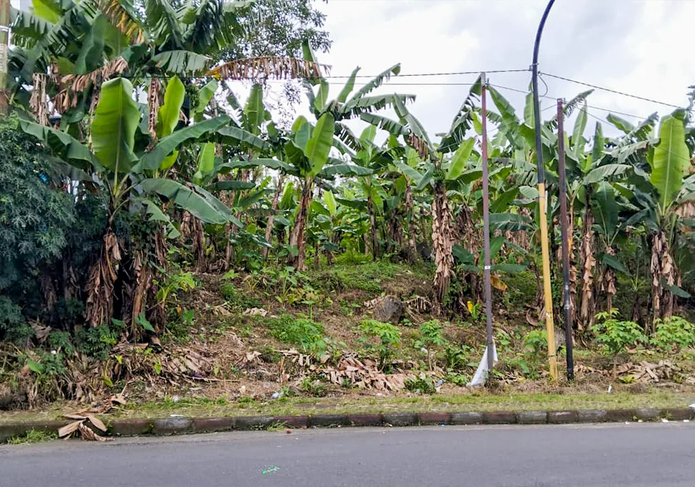 TANAH DI KOTA TOMOHON - WOFF4997-1 - SULAWESI UTARA