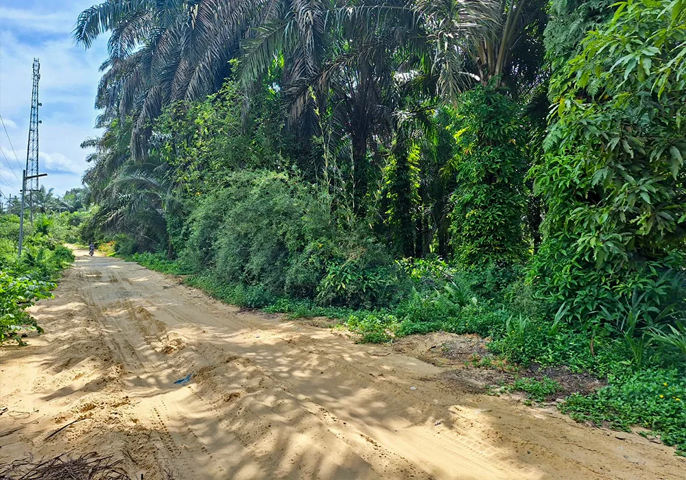 TANAH DI KAB. LABUHAN BATU SELATAN - WOFF748-4 - Sumatera Utara