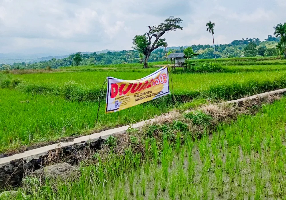 TANAH DI KAB. SITUBONDO - WOFF773-1 - Jawa Timur