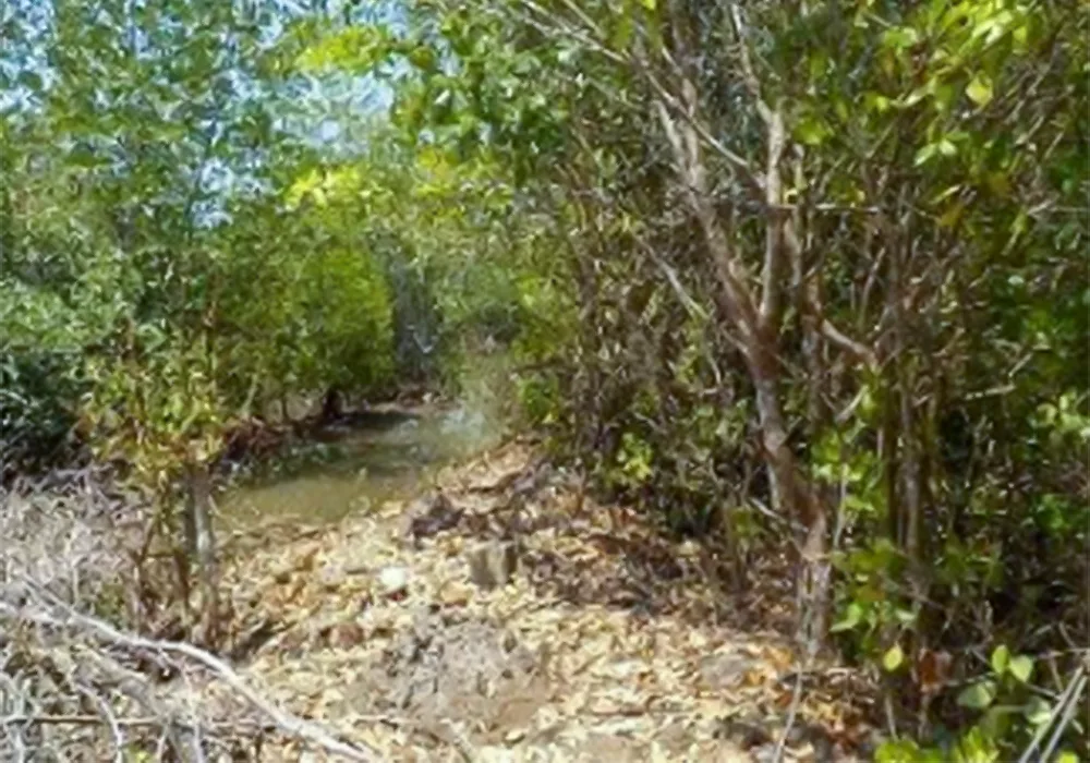 TANAH DI KAB. BULUKUMBA - WOFF793-2 - SULAWESI SELATAN