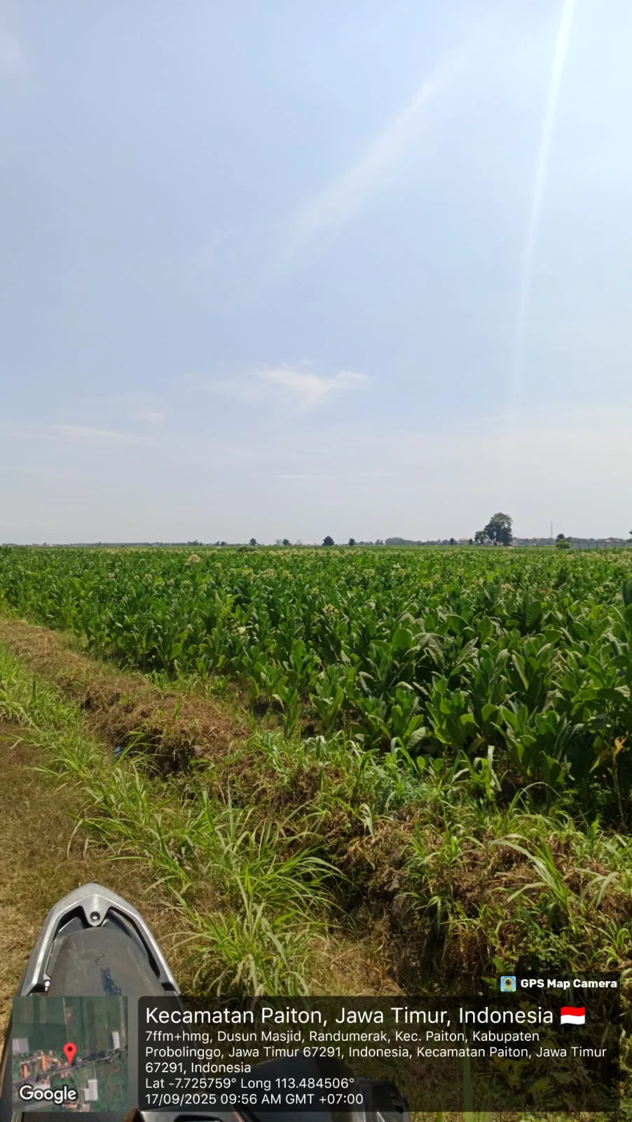 TANAH DI KAB. PROBOLINGGO - WOFF796-2 - JAWA TIMUR