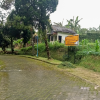 TANAH DI KAB. CIANJUR - NPL221-12 - Jawa Barat