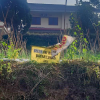 TANAH DI KAB. CIANJUR - NPL221-15 - Jawa Barat