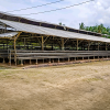 TANAH DI KAB. BANYUASIN - NPL435-3 - Sumatera Selatan