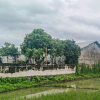 GUDANG DI KAB. JOMBANG - NPL437-2 - Jawa Timur