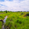 TANAH DI KAB. PEKANBARU - NPL458-1 - Riau