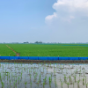 TANAH DI KAB. KARAWANG - WOFF247-1 - Jawa Barat