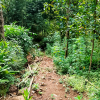 TANAH DI KAB BOYOLALI - WOFF289-1 - Jawa Tengah
