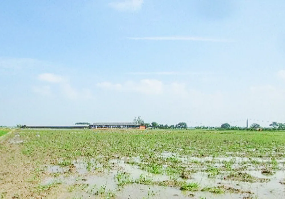 TANAH DI KAB. SUBANG - NPL2601-1
