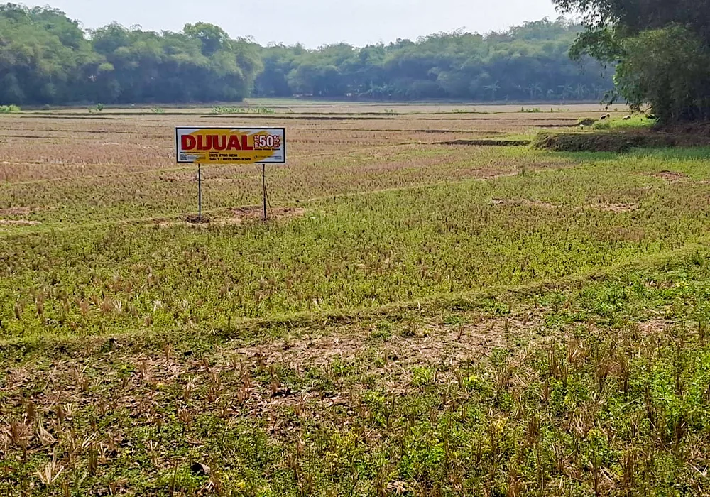 Tanah Luas di Pasir Kupang - Bekasi NPL420-2