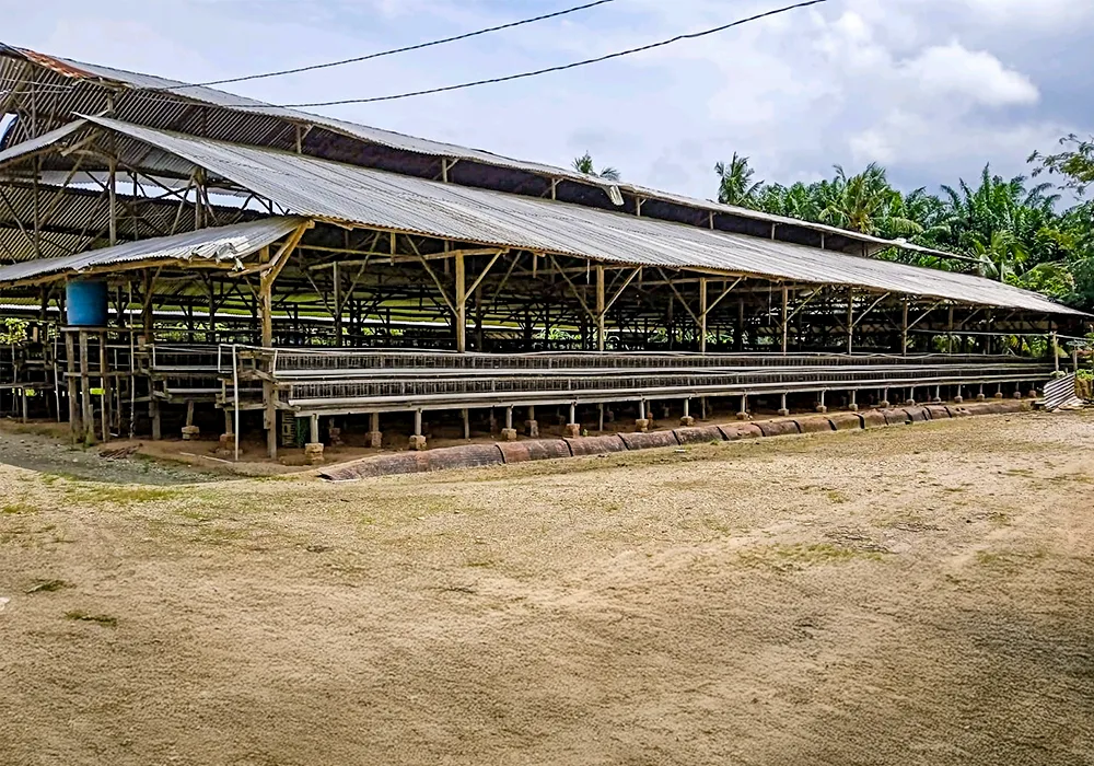 TANAH DI KAB. BANYUASIN - NPL435-3