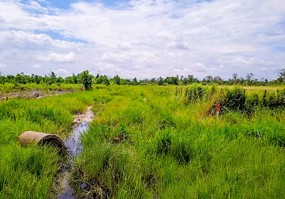 TANAH DI KAB. PEKANBARU - NPL458-1