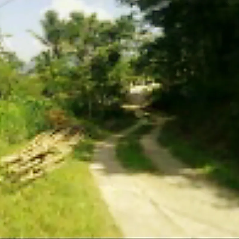 TANAH DI KAB. GUNUNG KIDUL - NPL513-1