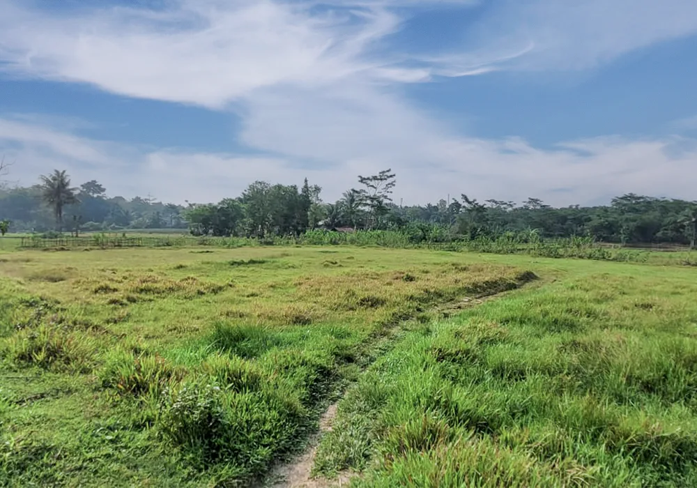 TANAH DI KAB. SERANG - WOFF601-5