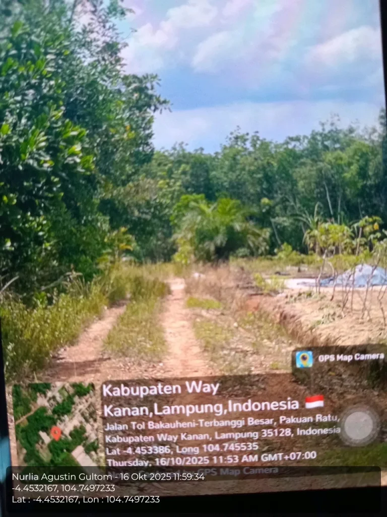 TANAH DI KAB. WAY KANAN - WOFF743-4