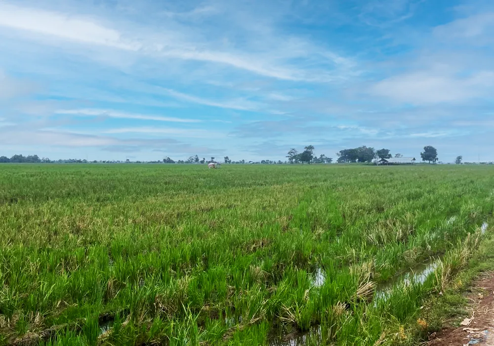 TANAH DI KAB. KARAWANG - WOFF750-1