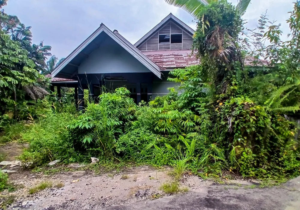 TANAH DI KAB. KUANTAN SINGINGI - WOFF755-1