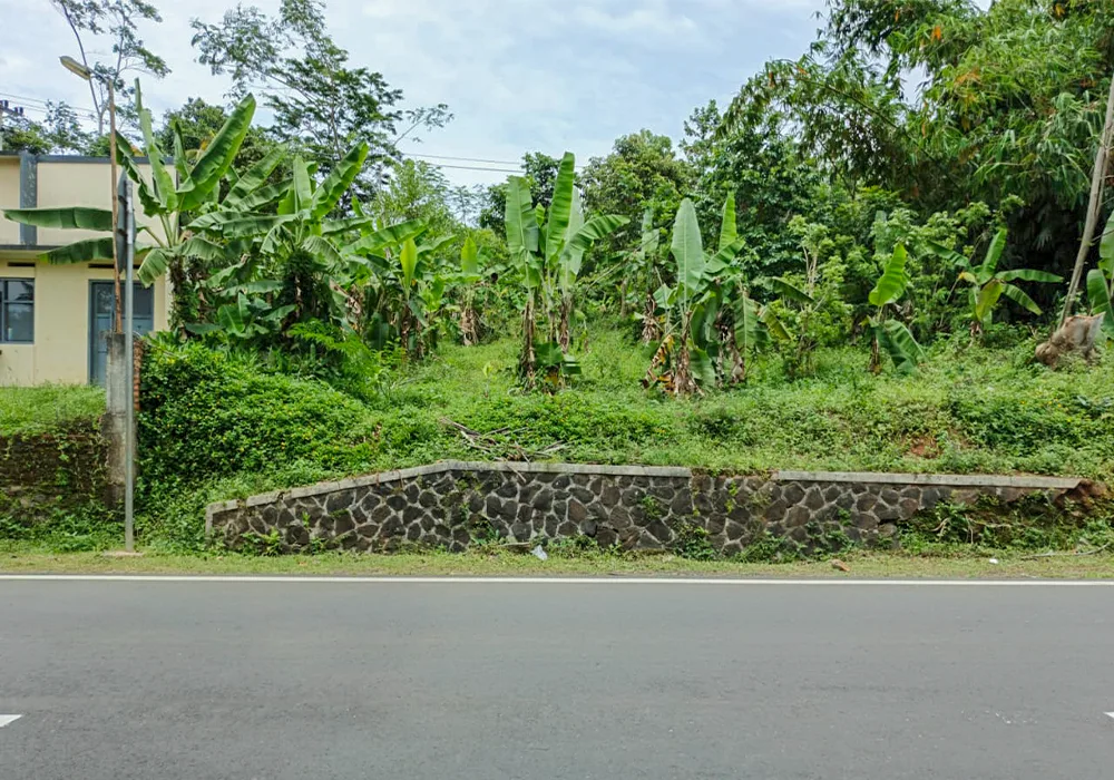 TANAH DI KAB. TASIKMALAYA - WOFF761-2
